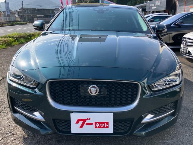 XE XE ピュア(3枚目)