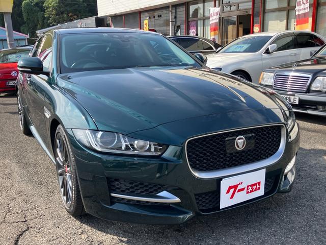 XE XE ピュア(4枚目)