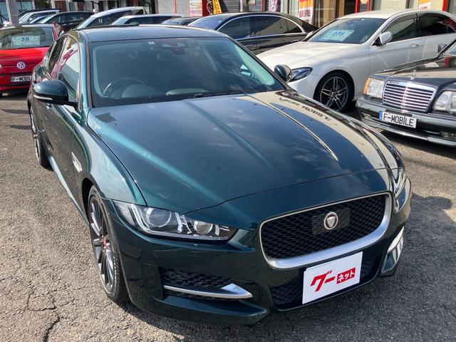 XE XE ピュア(5枚目)