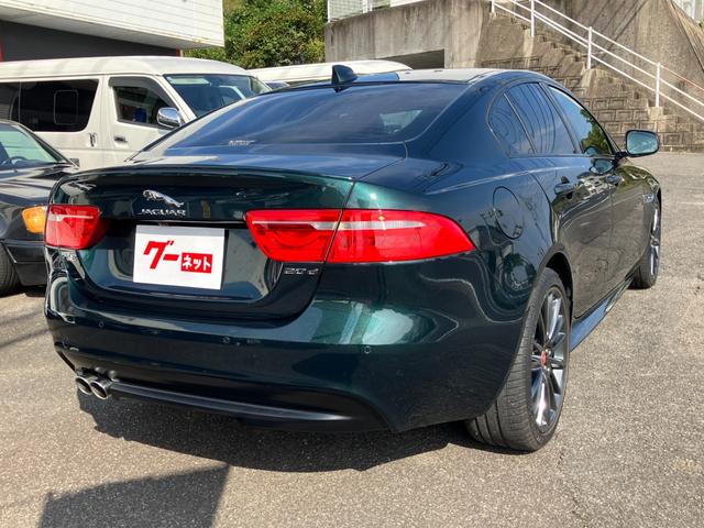 XE XE ピュア(6枚目)