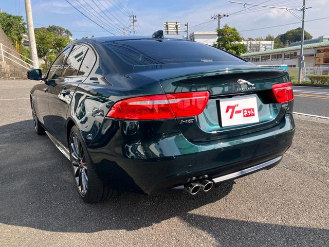 XE XE ピュア(9枚目)