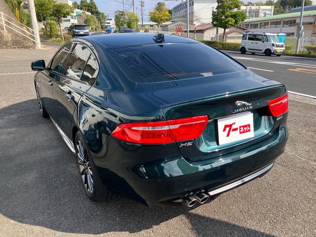 XE XE ピュア(10枚目)