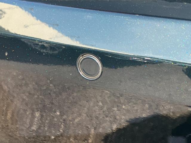 XE XE ピュア(16枚目)