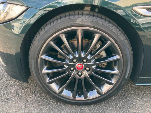 XE XE ピュア(20枚目)