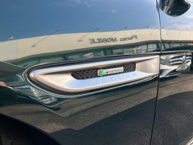 XE XE ピュア(21枚目)