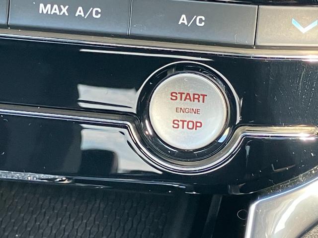 XE XE ピュア(33枚目)