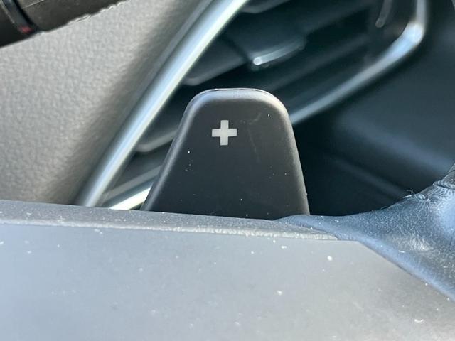 XE XE ピュア(39枚目)