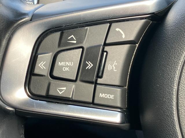 XE XE ピュア(40枚目)