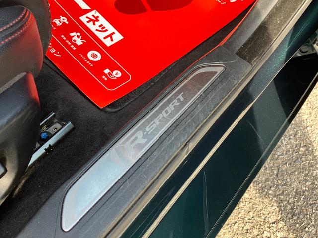 XE XE ピュア(54枚目)