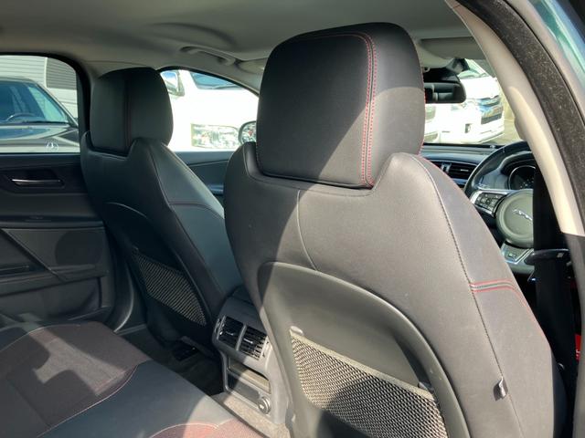 XE XE ピュア(55枚目)