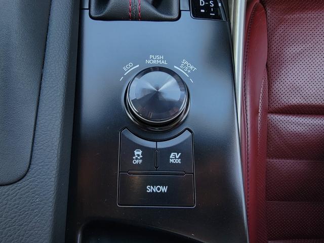 ＩＳ ＩＳ３００ｈ　Ｆスポーツ　ＴＲＤエアロ　マフラー　本革　サンルーフ　ＬＥＤライト＆フォグ　専用１８インチＡＷ　３６０度ドラレコ　Ｂｌｕｅｔｏｏｔｈ　ＵＳＢ　ＴＶキット　シートＡＣ　シートメモリー　クルコン　パドルシフト（43枚目）