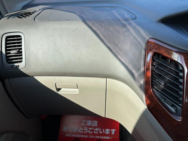 エルグランド リミテッドエディション　ラウンジパッケージ（14枚目）