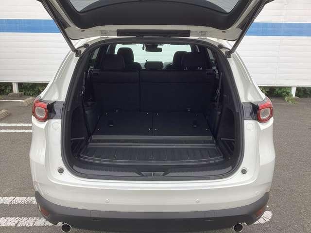 ＣＸ－８ ２．２　ＸＤ　プロアクティブ　ディーゼルターボ　エアバック　ＡＢＳ　３６０°カメラ　アドバンストキー　横滑り防止機能　電動Ｒゲート　クルーズコントロール　地デジ　アイスト　ＥＴＣ車載器　ＤＶＤ再生可　エアコン　パワーシート　シートヒーター　ターボ（13枚目）