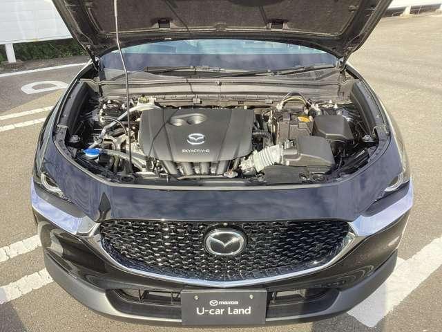 ���Ђ̂��Ԃ́A�S�ԕۏؕt���I�w��������S���Ă���肢�������܂��B�܂��A�������u�}�c�_�Ԃ̃v���v�����������Ă��[�Ԃ������܂��̂ŁA���S�ł��I