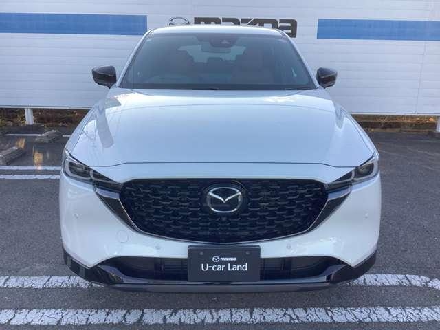 �O�������ł����ڗ������L�Y�������Ǝv���܂��A�����x���q�l�̌������ڂł��m�F���������I