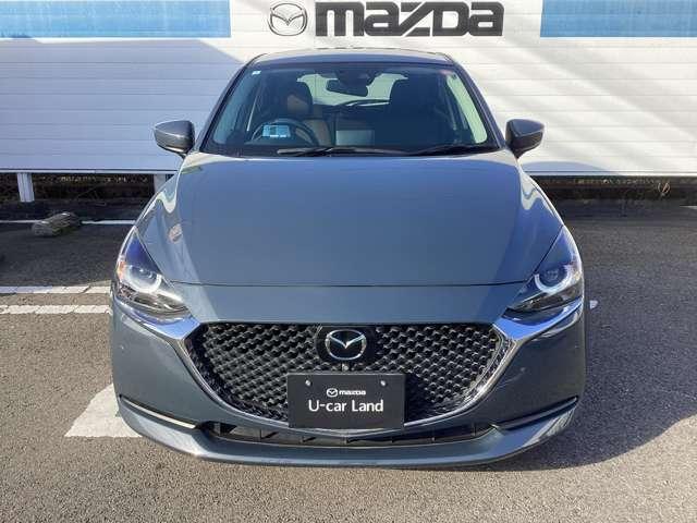 �O�������ł����ڗ������L�Y�������Ǝv���܂��A�����x���q�l�̌������ڂł��m�F���������I