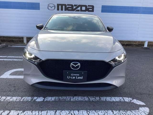 �O�������ł����ڗ������L�Y�������Ǝv���܂��A�����x���q�l�̌������ڂł��m�F���������I