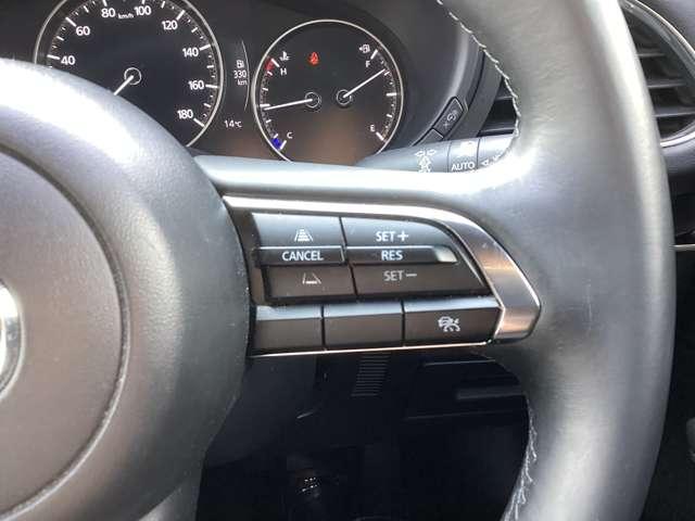 �N���[�Y�R���g���[���t���Ȃ̂ō������ł̔��������ƒጸ�ł��邩������܂���B