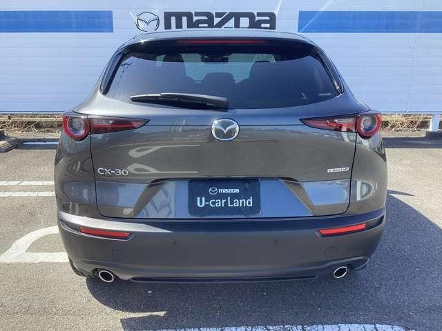 �C�ӕی��A�i�`�e������舵����v���Ă���܂����ڂ����͉c�ƃX�^�b�t�܂ł��q�˂���������