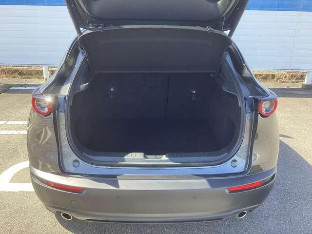 �g������̂������Q�b�W���[���ł��I