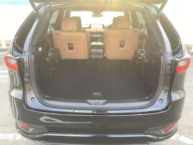 �V�[�g��|���΂����̂Ƃ��聙�傫�ȉו��������ۂ����܂��I