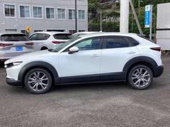 ������⤴�����ޤ������ڤ˾���Ƥ�������Ǥ������󤳤줫��⥭�쥤�����ڤˤ����ĺ�������פ��ޤ��� 5