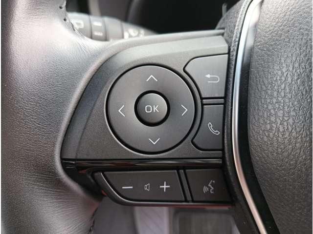 ハリアーハイブリッド Ｚ　パノラマビュー　デジタルインナーミラー　ＬＥＤ　ドラレコ前後　ナビテレビ　オートマチックハイビーム　アダプティブクルーズコントロール（24枚目）