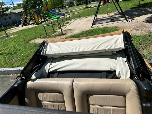 ゴルフカブリオ (12枚目)