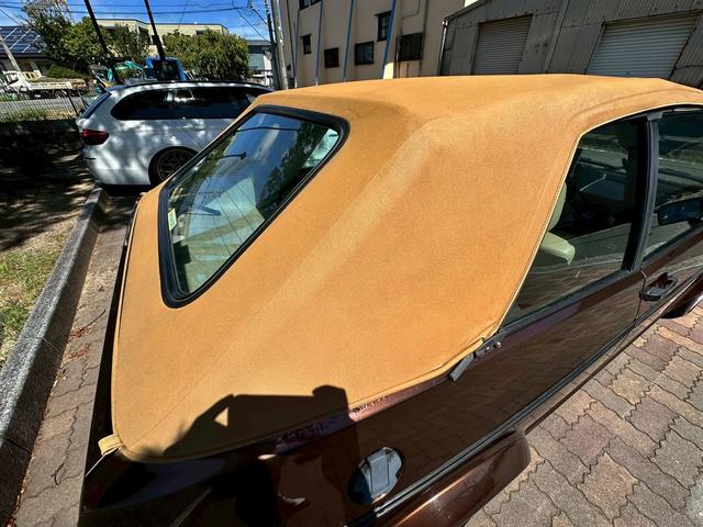 ゴルフカブリオ (13枚目)