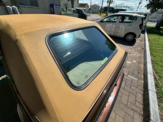 ゴルフカブリオ (14枚目)