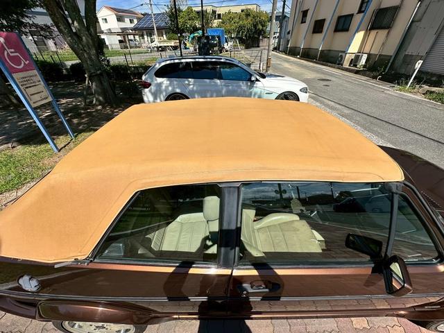 ゴルフカブリオ (15枚目)