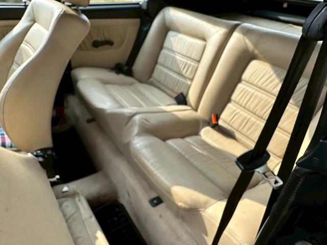 ゴルフカブリオ (15枚目)