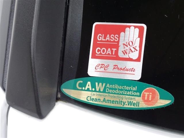 ライズ Ｚ　フルセグ　メモリーナビ　ＤＶＤ再生　バックカメラ　衝突被害軽減システム　ＥＴＣ　ＬＥＤヘッドランプ　記録簿　アイドリングストップ（12枚目）