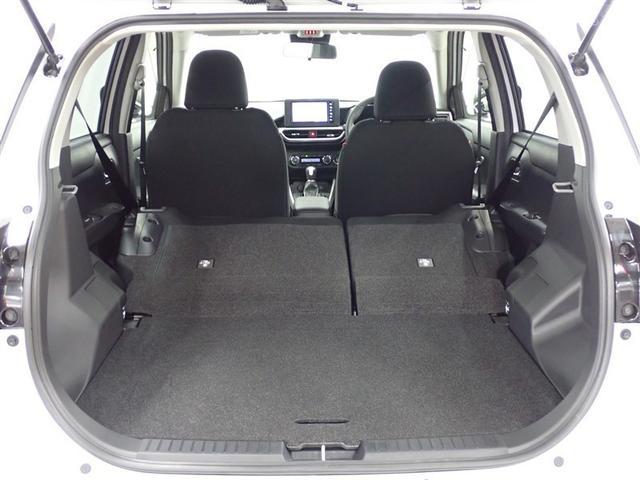 ライズ Ｚ　フルセグ　メモリーナビ　ＤＶＤ再生　バックカメラ　衝突被害軽減システム　ＥＴＣ　ＬＥＤヘッドランプ　記録簿　アイドリングストップ（17枚目）