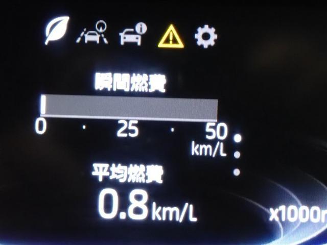 ライズ Ｚ　フルセグ　メモリーナビ　ＤＶＤ再生　バックカメラ　衝突被害軽減システム　ＥＴＣ　ＬＥＤヘッドランプ　記録簿　アイドリングストップ（22枚目）