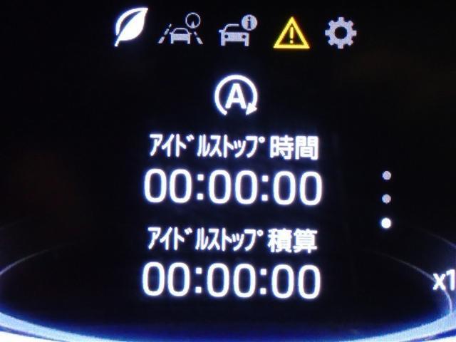 ライズ Ｚ　フルセグ　メモリーナビ　ＤＶＤ再生　バックカメラ　衝突被害軽減システム　ＥＴＣ　ＬＥＤヘッドランプ　記録簿　アイドリングストップ（23枚目）