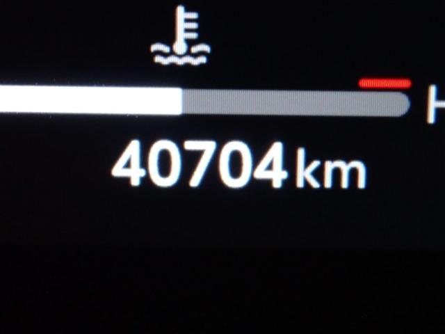 RAV4 アドベンチャー サンルーフ 4WD フルセグ バックカメラ 衝突被害軽減システム ETC ドラレコ LEDヘッドランプ 記録簿(18枚目)