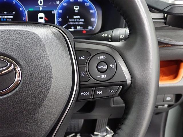 RAV4 アドベンチャー サンルーフ 4WD フルセグ バックカメラ 衝突被害軽減システム ETC ドラレコ LEDヘッドランプ 記録簿(28枚目)