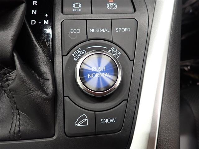 RAV4 アドベンチャー サンルーフ 4WD フルセグ バックカメラ 衝突被害軽減システム ETC ドラレコ LEDヘッドランプ 記録簿(35枚目)