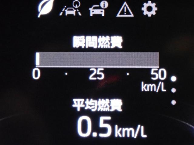 ライズ Ｇ　フルセグ　バックカメラ　衝突被害軽減システム　ＬＥＤヘッドランプ　記録簿　アイドリングストップ（17枚目）