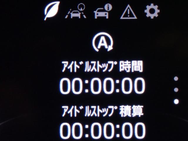 ライズ Ｇ　フルセグ　バックカメラ　衝突被害軽減システム　ＬＥＤヘッドランプ　記録簿　アイドリングストップ（19枚目）