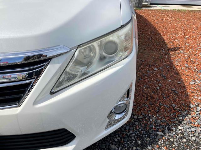 ���̓x�͓��X�̂��Ԃ������ɂȂ��Ă��������A���ɂ��肪�Ƃ��������܂��B�������茻�Ԋm�F���Ē�����悤�A��������v���܂��I