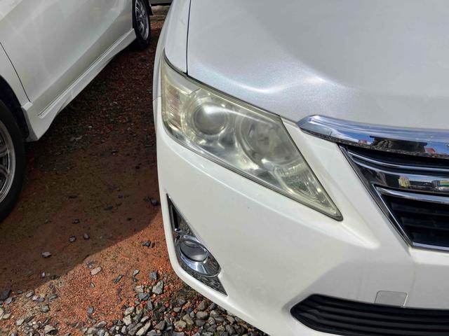 �����x�A���Ԃ��䗗���������B