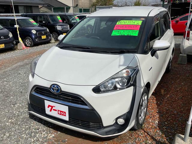 �݌Ɋm�F�ȂǂɊւ��ẮA���C�y�ɂ��₢���킹���������B