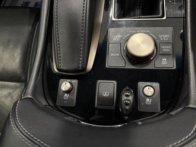 ＬＳ ＬＳ４６０　Ｆスポーツ　ナビ・ＴＶ・ＣＤ・ＤＶＤ・バックカメラ・ＥＴＣ・黒革シート・サンルーフ・エアシート・シートヒーター・ステアヒーター・クルコン・ＡＷ・ドラレコ（15枚目）