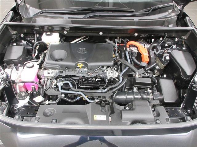 ＲＡＶ４ ハイブリッドアドベンチャー　４ＷＤ　フルセグ　メモリーナビ　バックカメラ　衝突被害軽減システム　ＥＴＣ　ＬＥＤヘッドランプ　記録簿（46枚目）