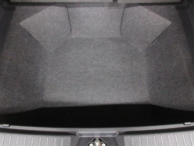 ライズ Ｚ　フルセグ　バックカメラ　衝突被害軽減システム　ＬＥＤヘッドランプ　記録簿　アイドリングストップ（37枚目）