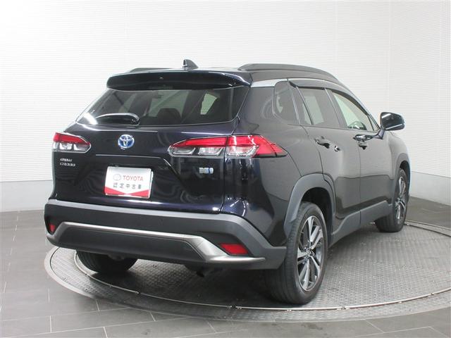 ���Ђ̐����m����������_���������Ă��n���������܂��̂ŁA�����S���������I