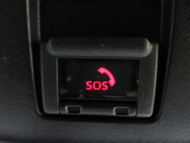 ���̂Ȃǋً}���ɂ����S�w���v�l�b�g