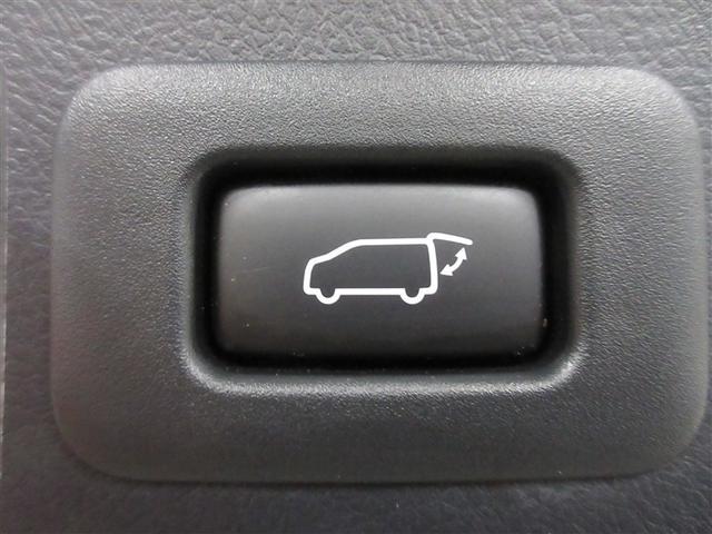 �֗��ȃp���[�o�b�N�h�A����